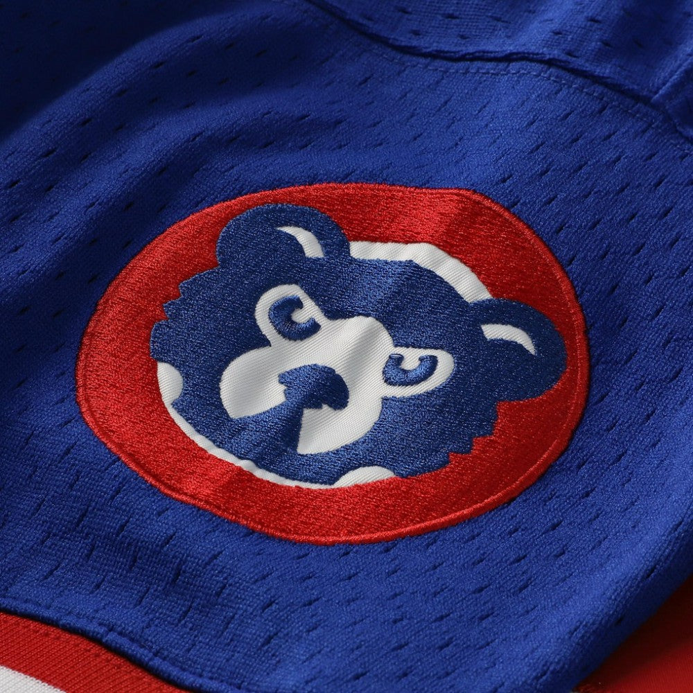 Ryne Sandberg Chicago Cubs Cooperstown Collection 1996 Mesh Batting Practice Button-Up Jersey - Royal | Mitchell & Ness