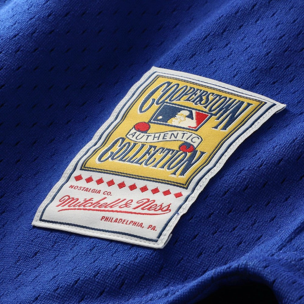 Ryne Sandberg Chicago Cubs Cooperstown Collection 1996 Mesh Batting Practice Button-Up Jersey - Royal | Mitchell & Ness