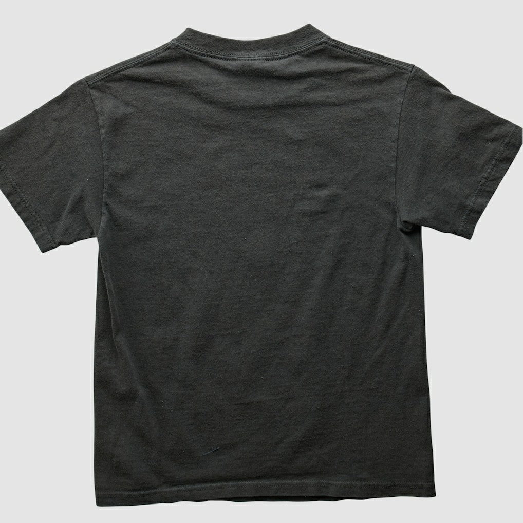 NFL Pittsburgh Steelers 2000s T-shirt