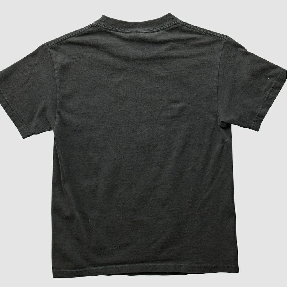 NFL Pittsburgh Steelers 2000s T-shirt