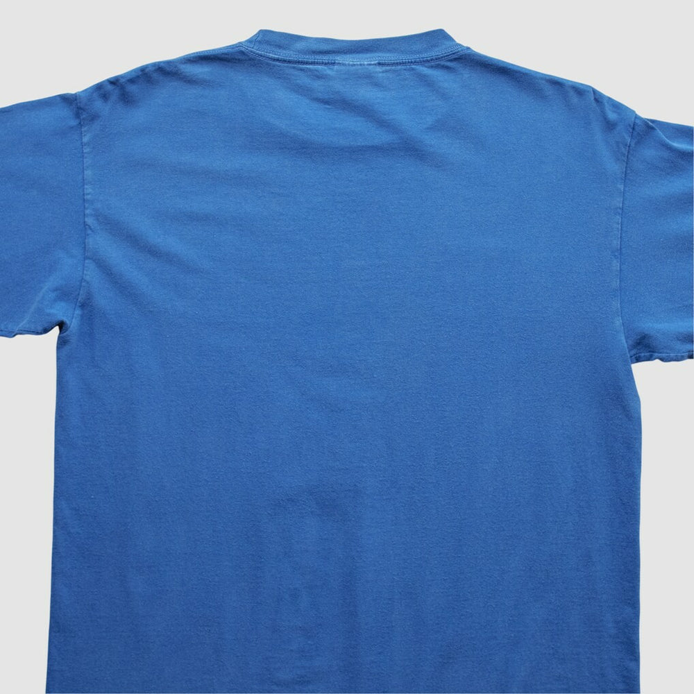 NFL Indianapolis Colts NFL 2000s Long Sleeve T-shirt