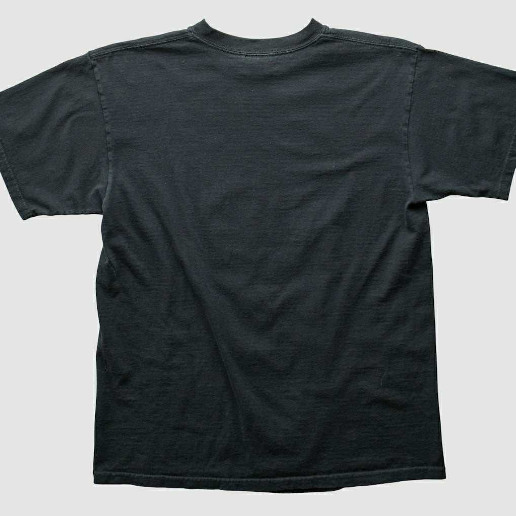 NFL Pittsburgh Steelers 2000s T-shirt