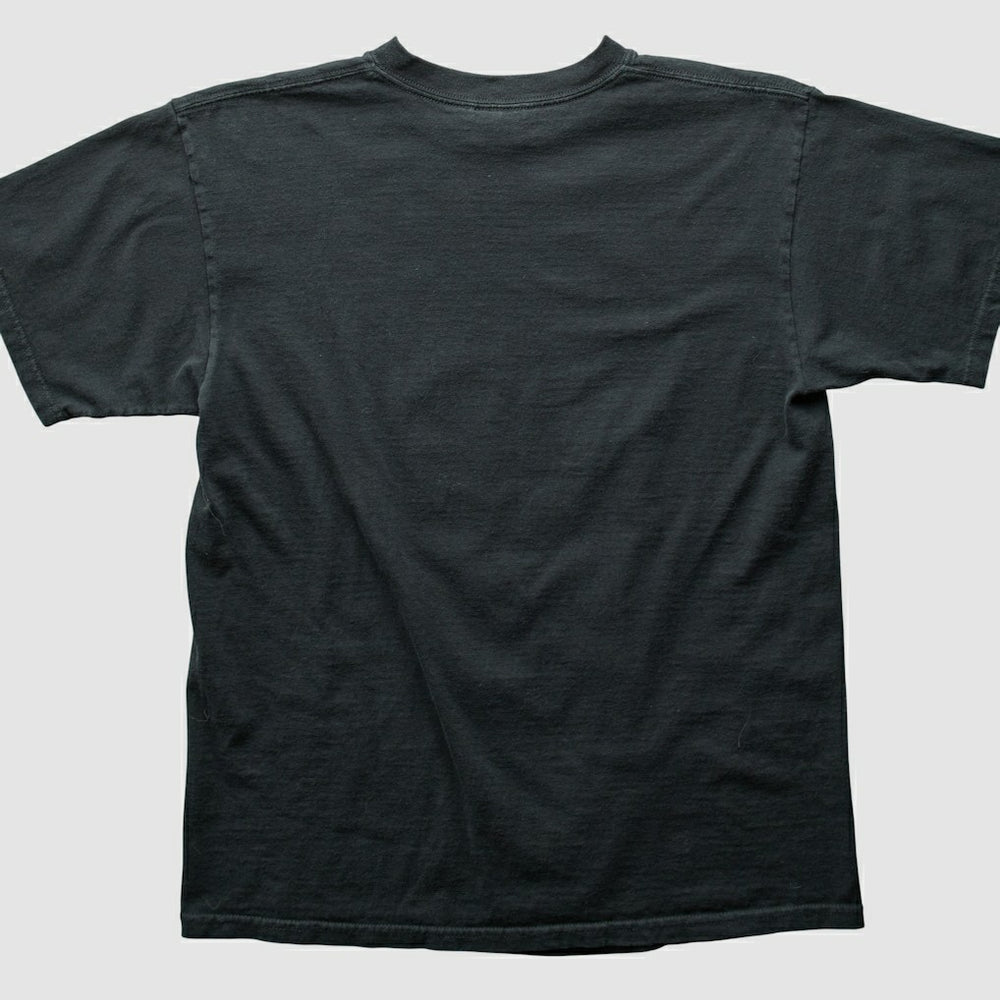 NFL Pittsburgh Steelers 2000s T-shirt