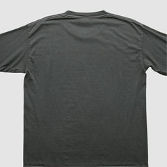 NFL Pittsburgh Steelers NFL 2000s Long Sleeve T-shirt