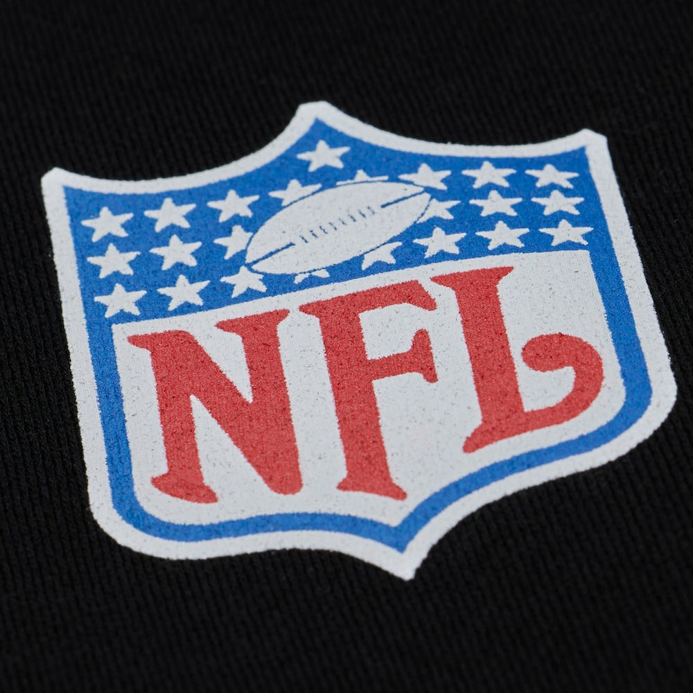 NFL Philadelphia Eagles Dream Chasers Fly Hoodie
