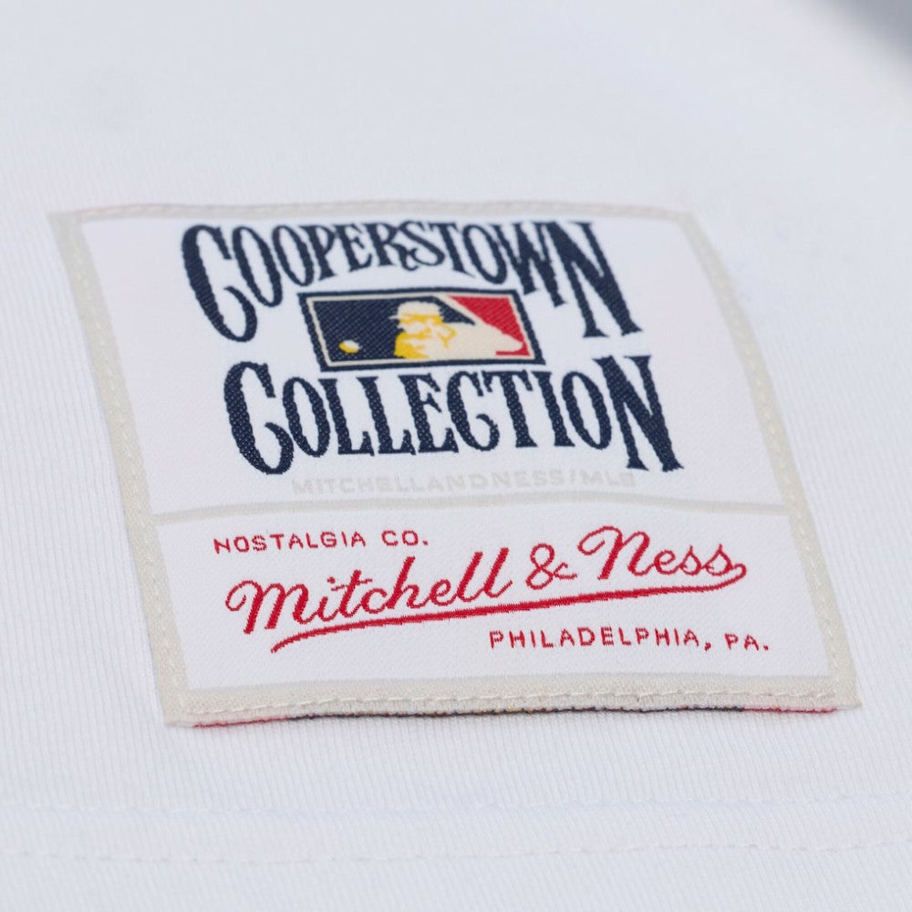 Chicago Cubs Cooperstown Collection Arctic T-Shirt - White | Mitchell & Ness