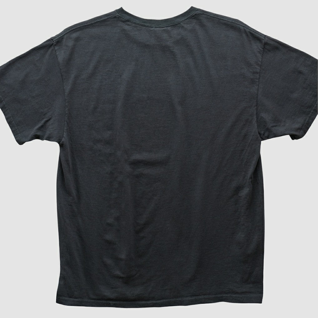 NFL Pittsburgh Steelers NFL 2000s T-shirt