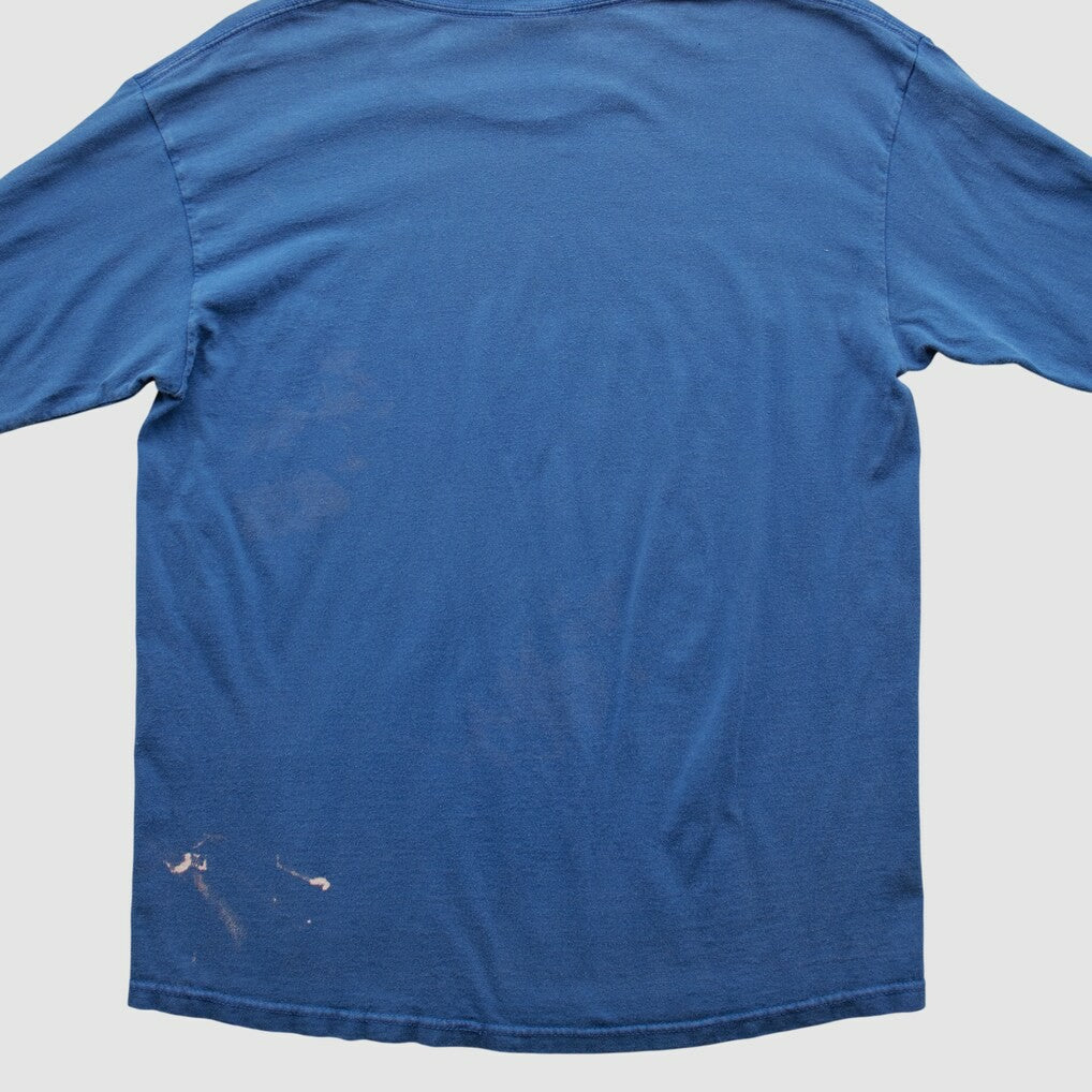 NFL Indianapolis Colts NFL 2000s Long Sleeve T-shirt