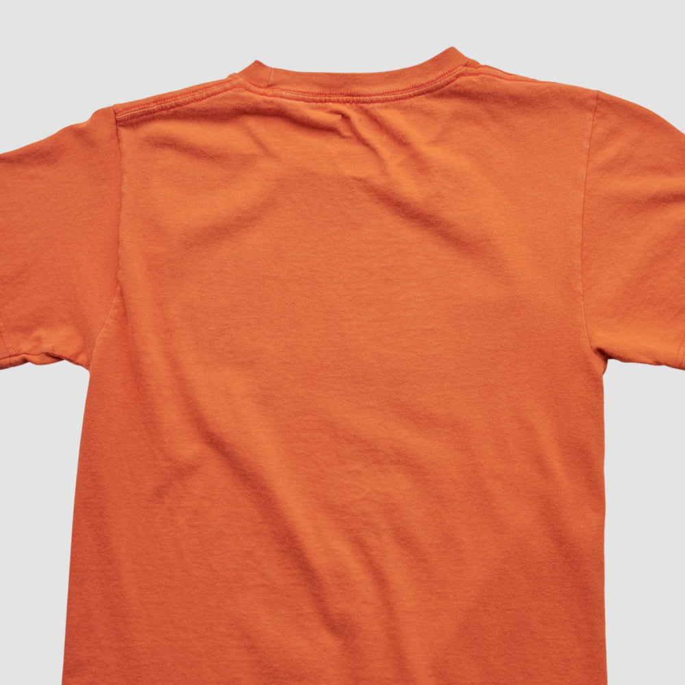 NFL Denver Broncos NFL 2010s T-shirt