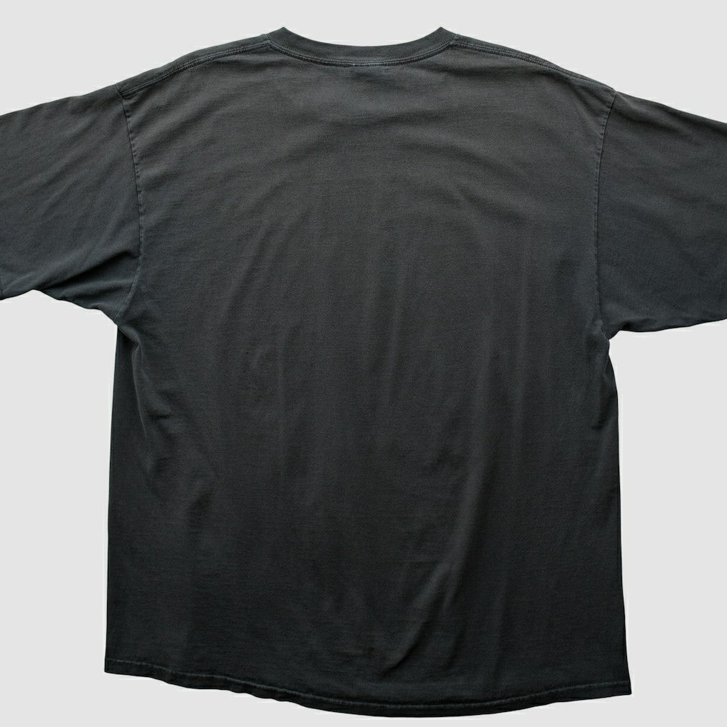 NFL Pittsburgh Steelers NFL 2000s T-shirt