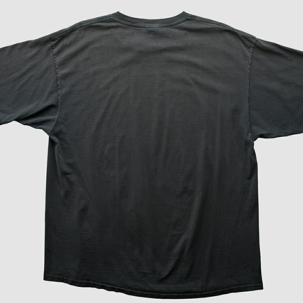 NFL Pittsburgh Steelers NFL 2000s T-shirt