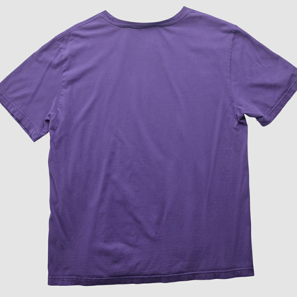 NFL Minnesota Vikings 2010s T-shirt