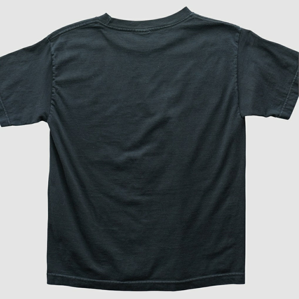 NFL Philadelphia Eagles Alstyle 2004 T-shirt