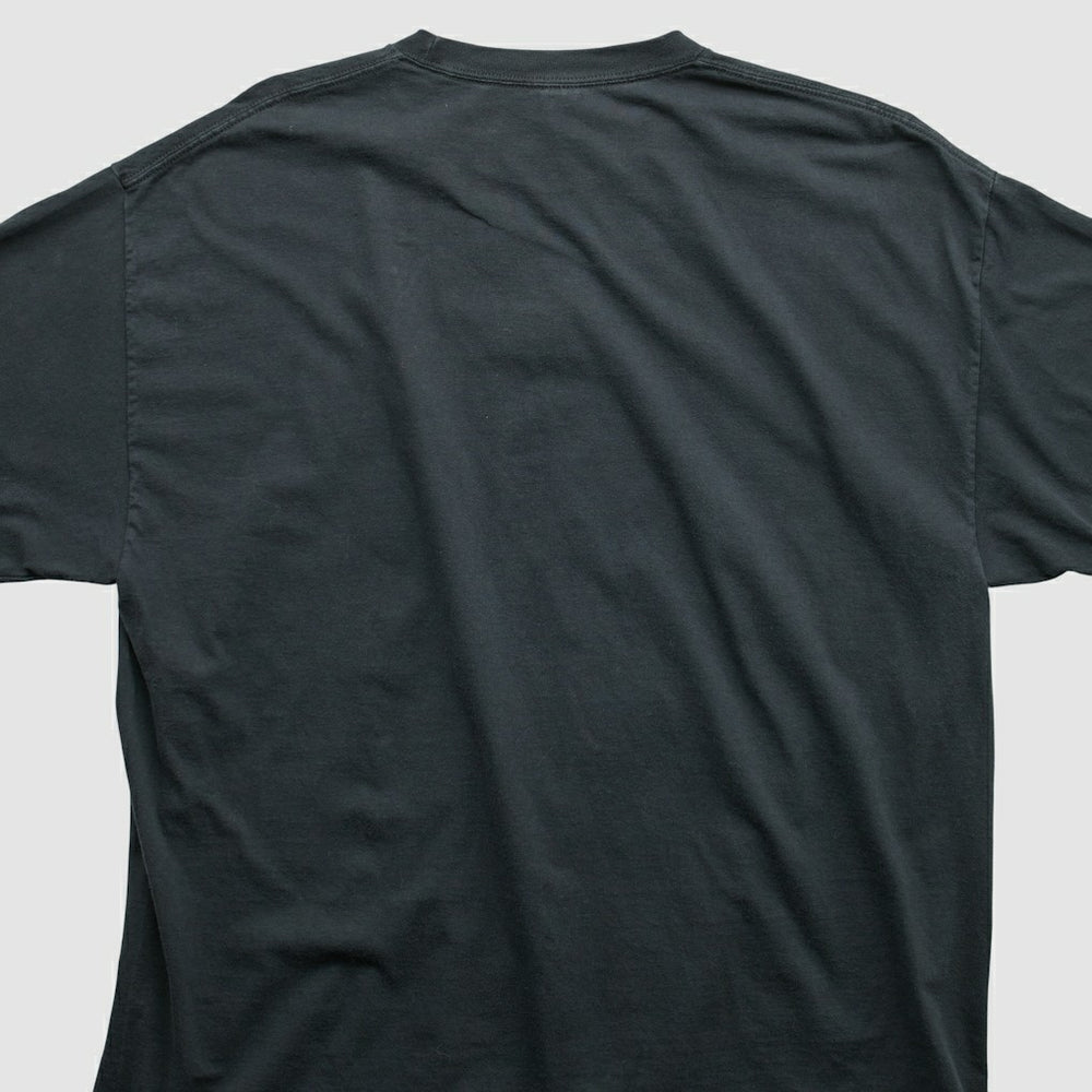 NFL Pittsburgh Steelers Alstyle 2010 T-shirt