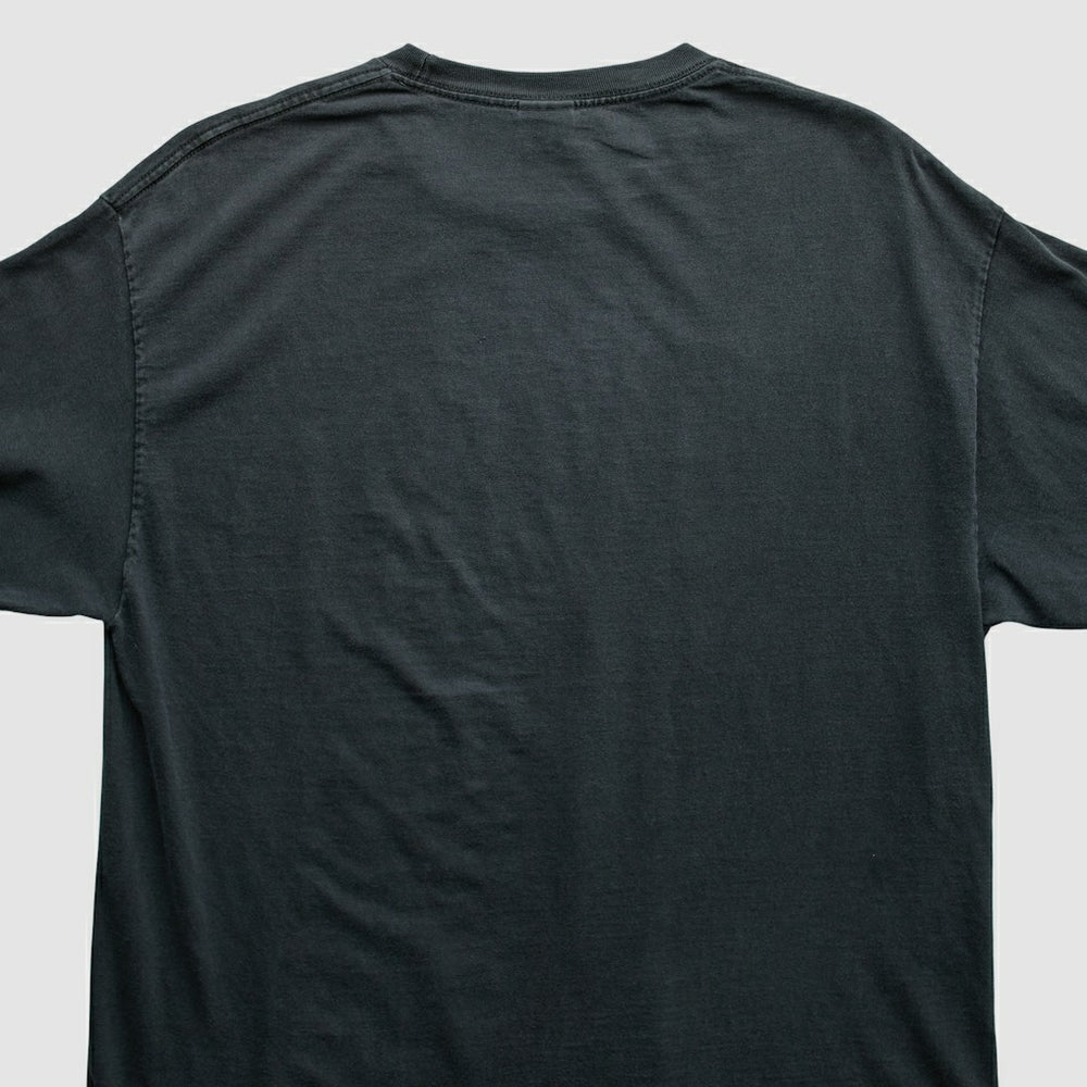 NFL Pittsburgh Steelers Alstyle Apparel 2006 Long Sleeve T-shirt