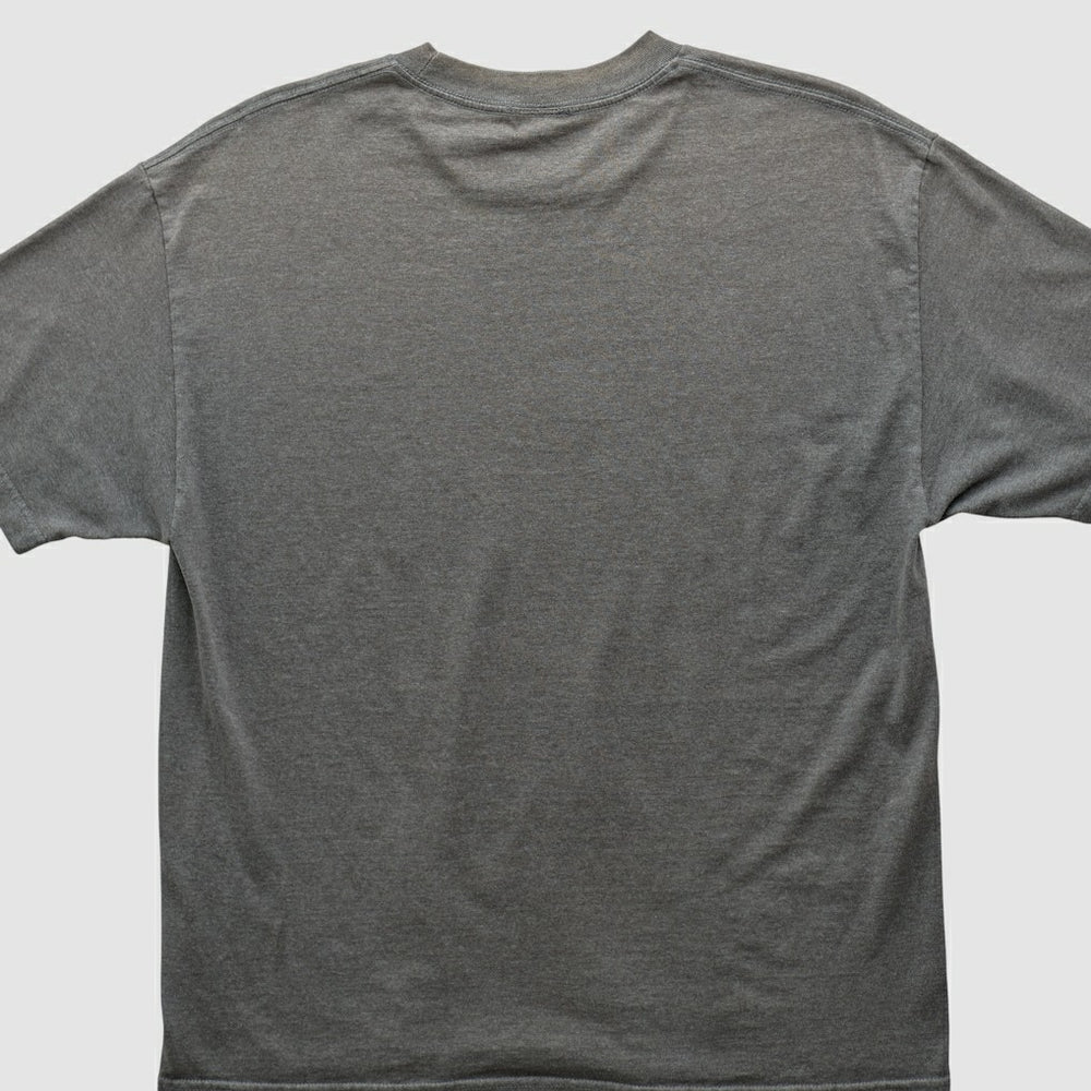 NFL Pittsburgh Steelers NFL 2010s T-shirt