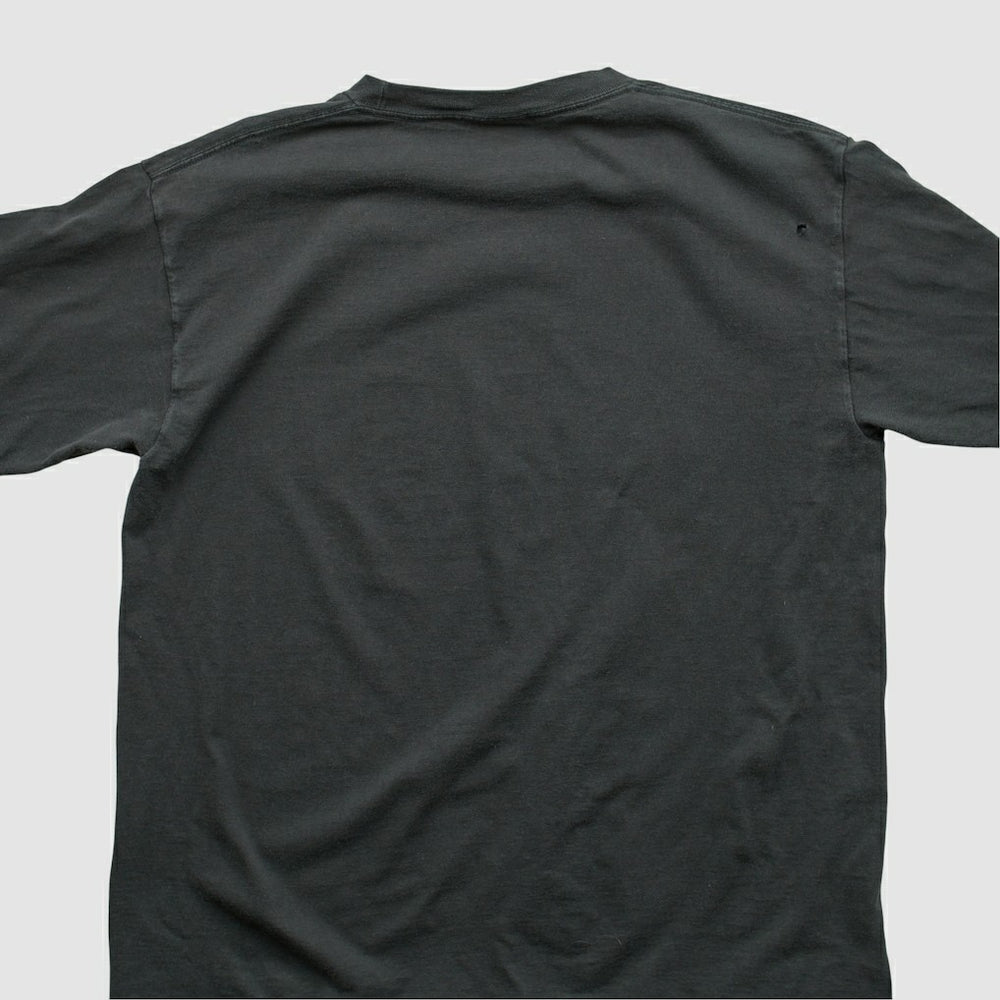 NFL Pittsburgh Steelers NFL 2000s Long Sleeve T-shirt