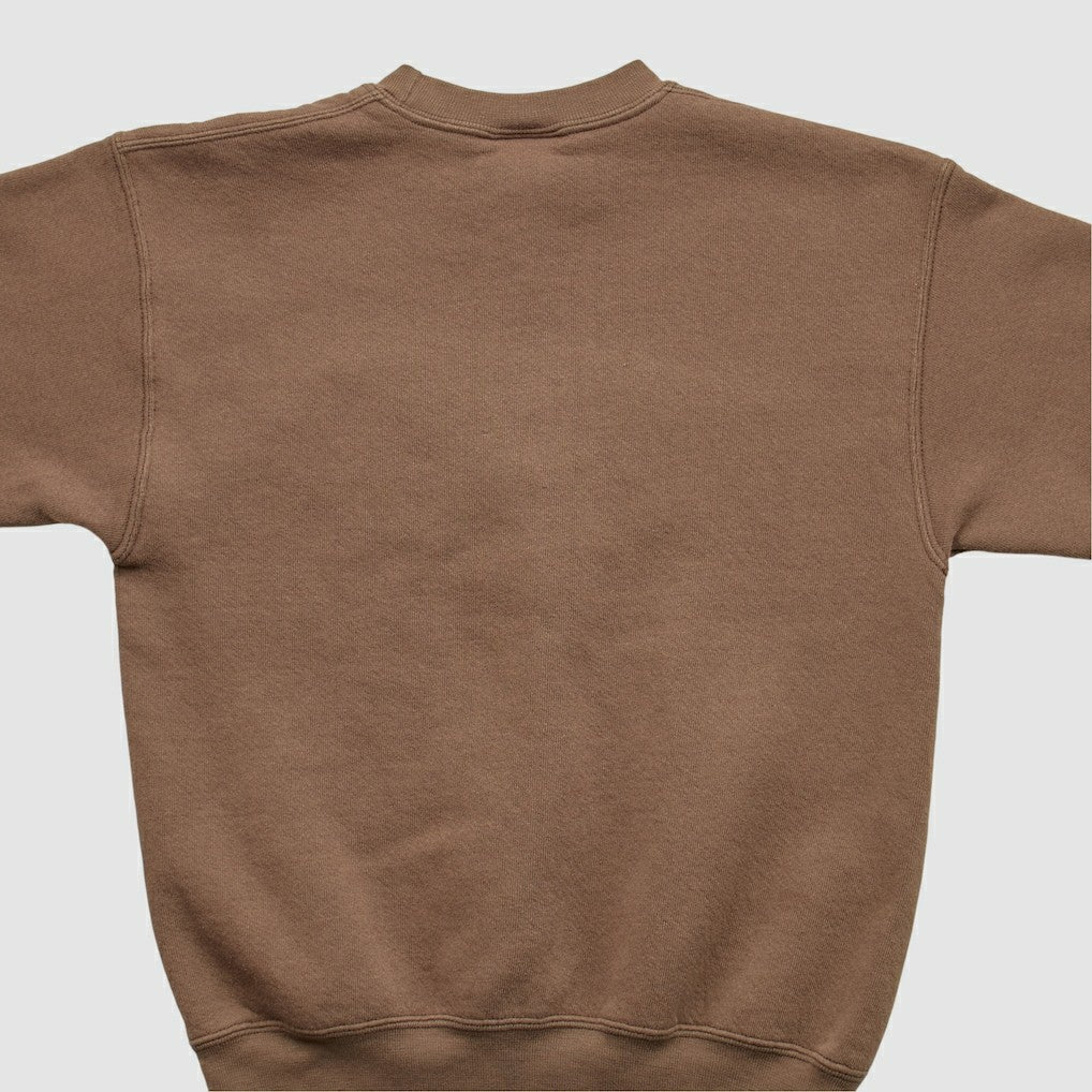 NFL Cleveland Browns Pro Player 2000s Pullover Sweatshirt