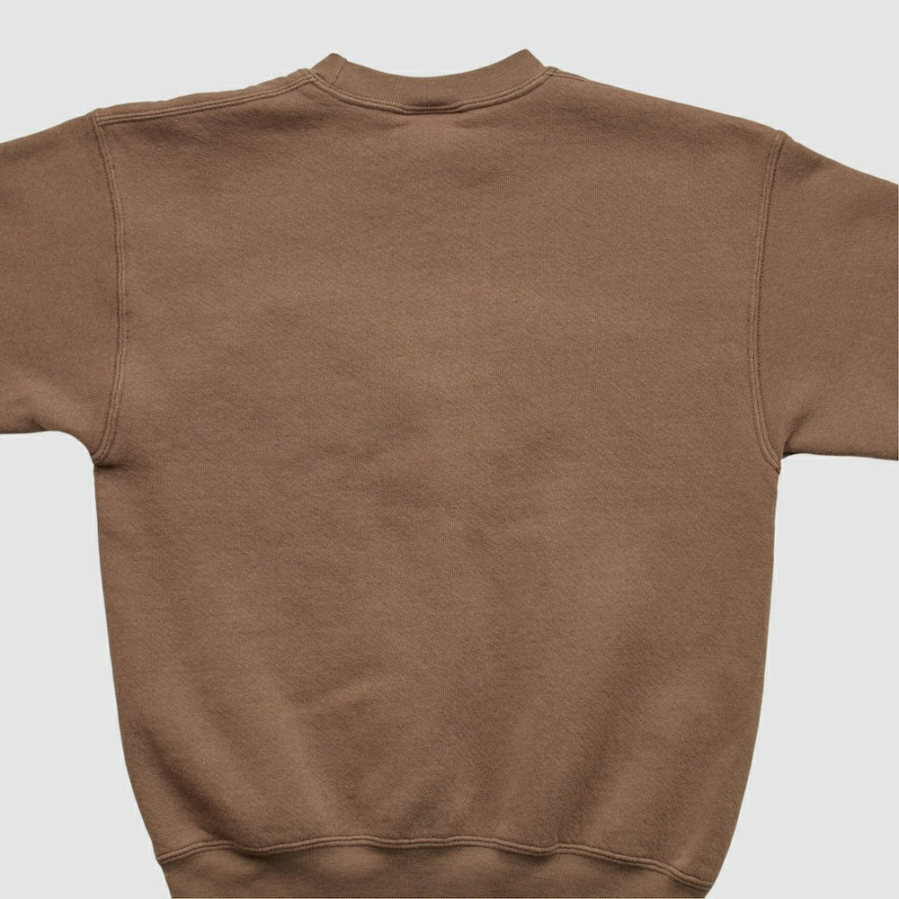 NFL Cleveland Browns Pro Player 2000s Pullover Sweatshirt
