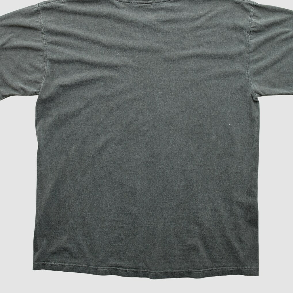 NFL Cleveland Browns NFL Pro Line 2010s T-shirt