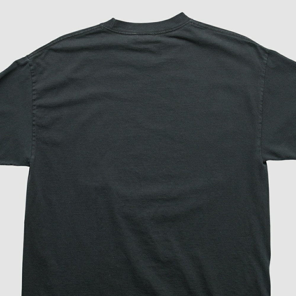 NFL Pittsburgh Steelers NFL 2010s T-shirt