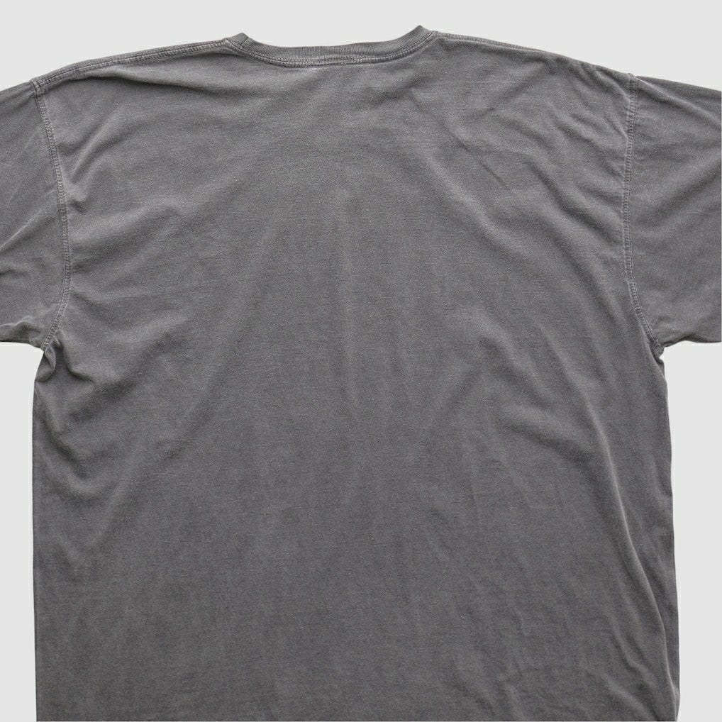 NFL Cleveland Browns NFL 2010s T-shirt