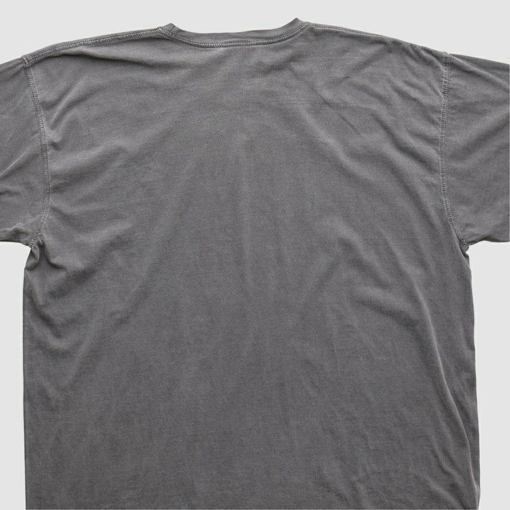 NFL Cleveland Browns NFL 2010s T-shirt