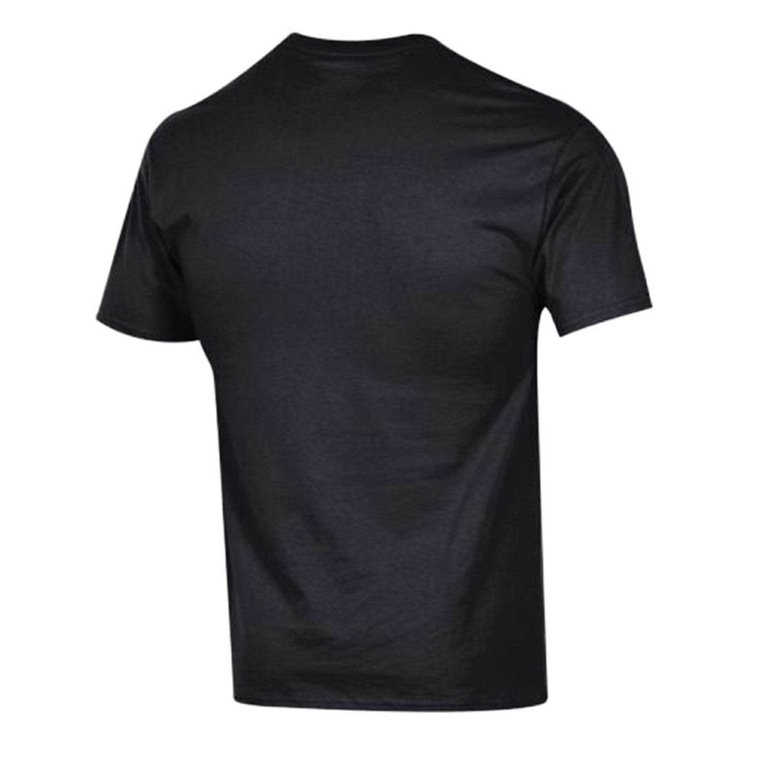 NFL Detroit Lions Arch Over Logo T-Shirt