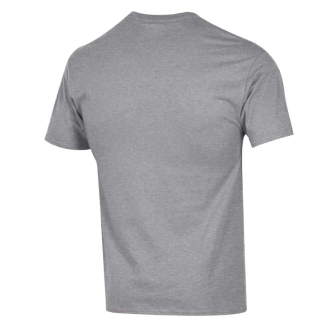 NFL Detroit Lions Arch Over Logo T-Shirt