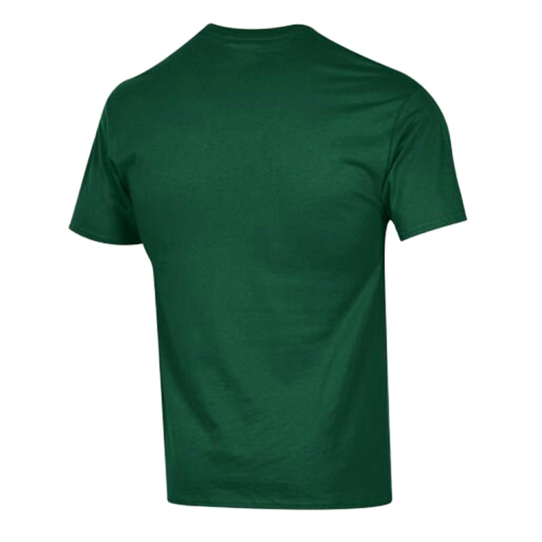 NFL Green Bay Packers Arch Over Logo T-Shirt