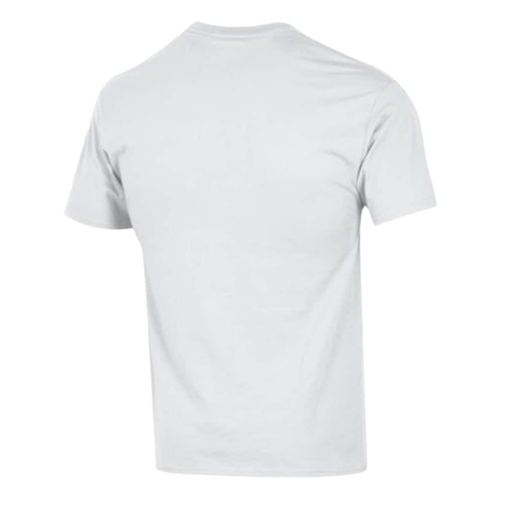 NFL Miami Dolphins Arch Over Logo T-Shirt