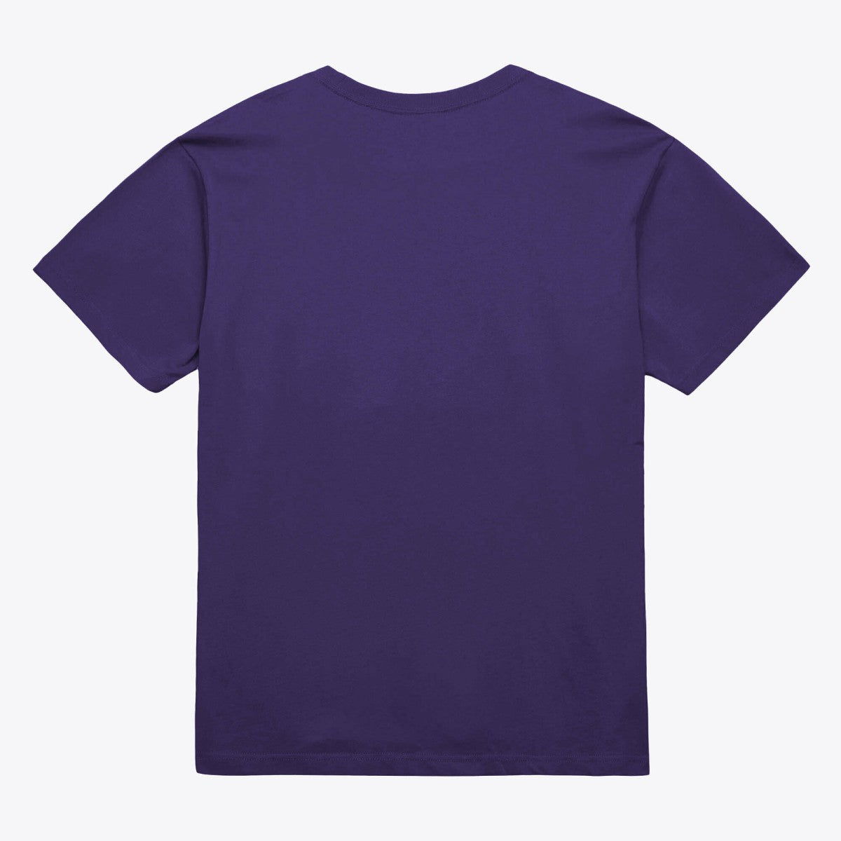 Phoenix Suns Unisex Hardwood Classics Arch T-Shirt - Purple | Mitchell & Ness shop