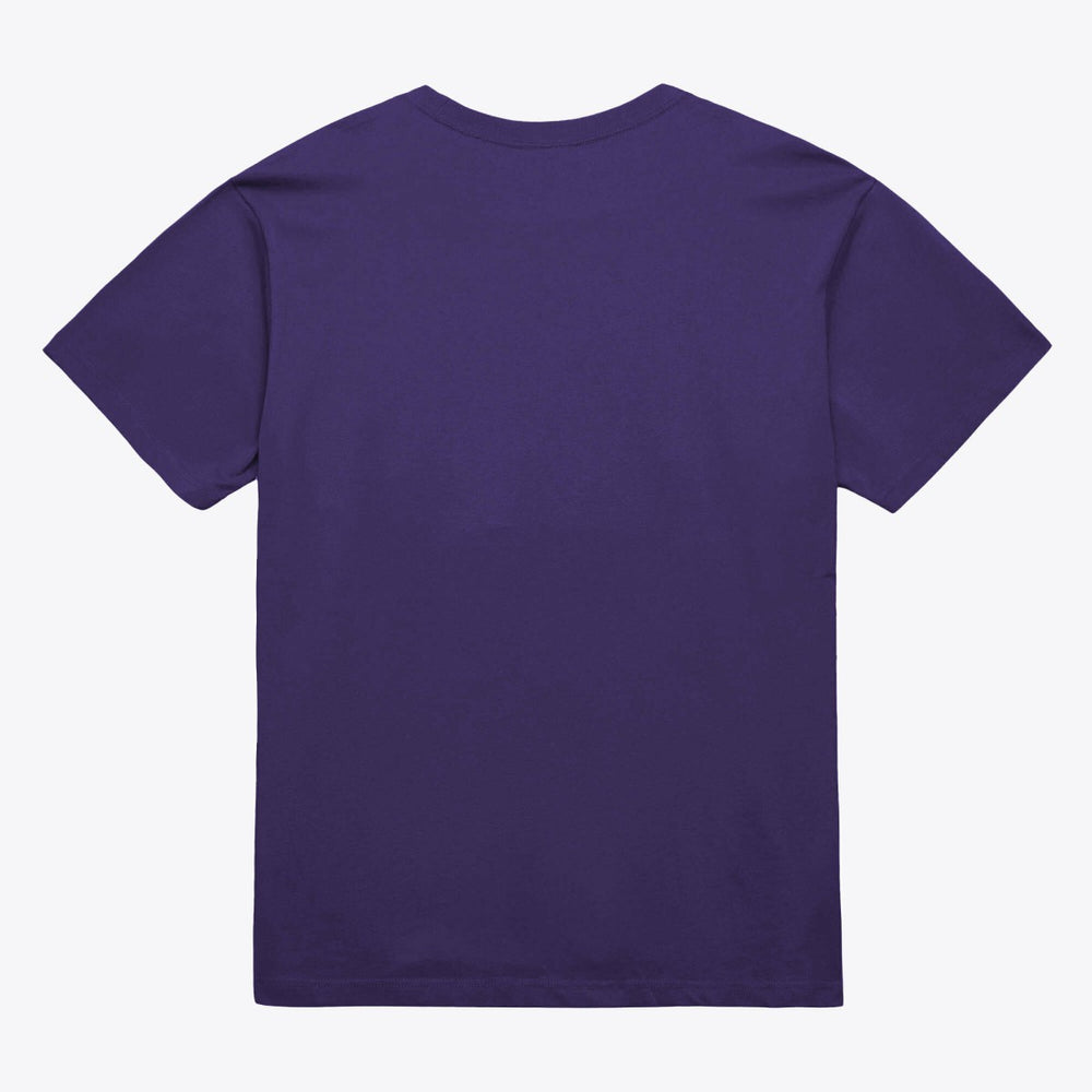 Phoenix Suns Unisex Hardwood Classics Arch T-Shirt - Purple | Mitchell & Ness shop