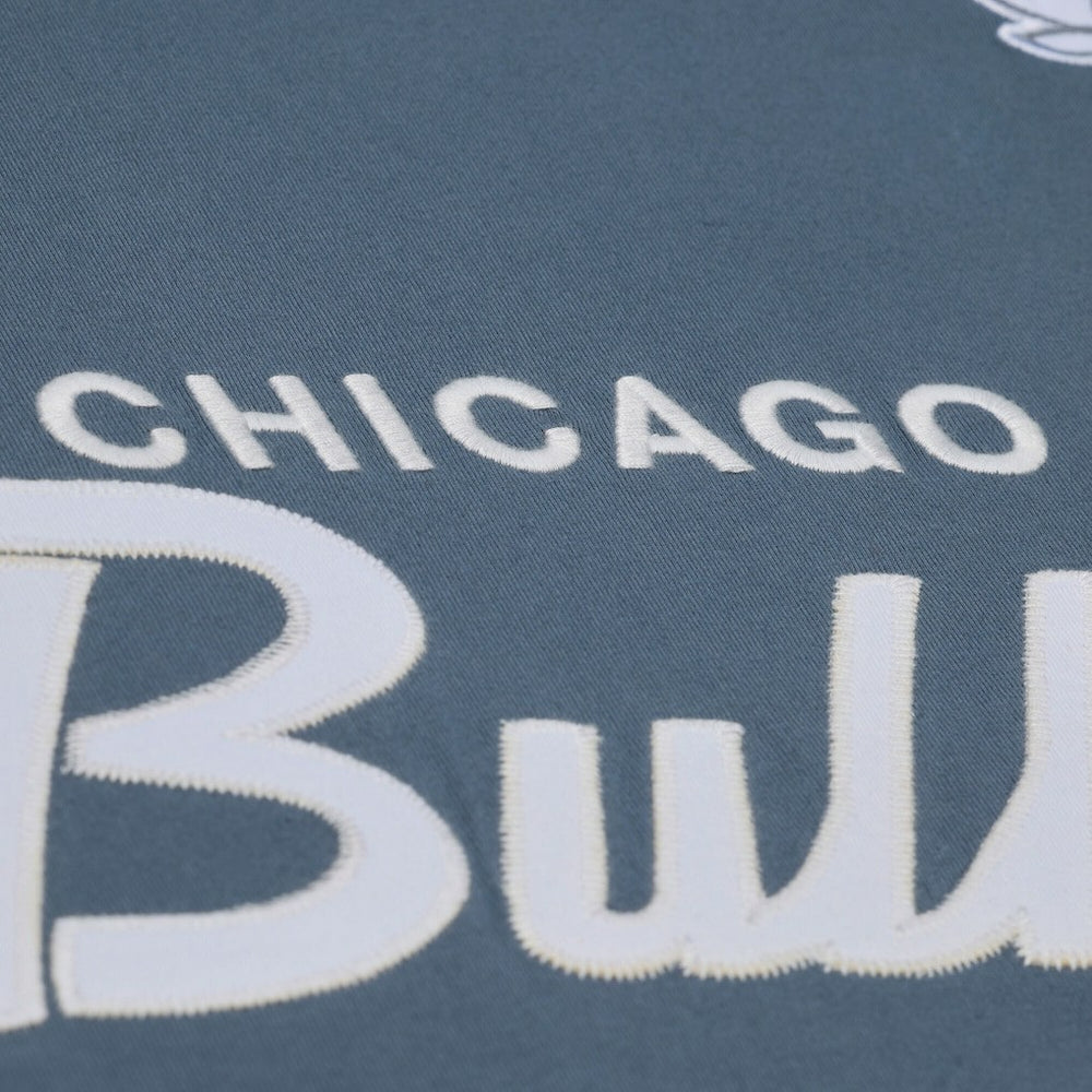 Chicago Bulls Thunderstorm T-Shirt sale - Blue | Mitchell & Ness on sale