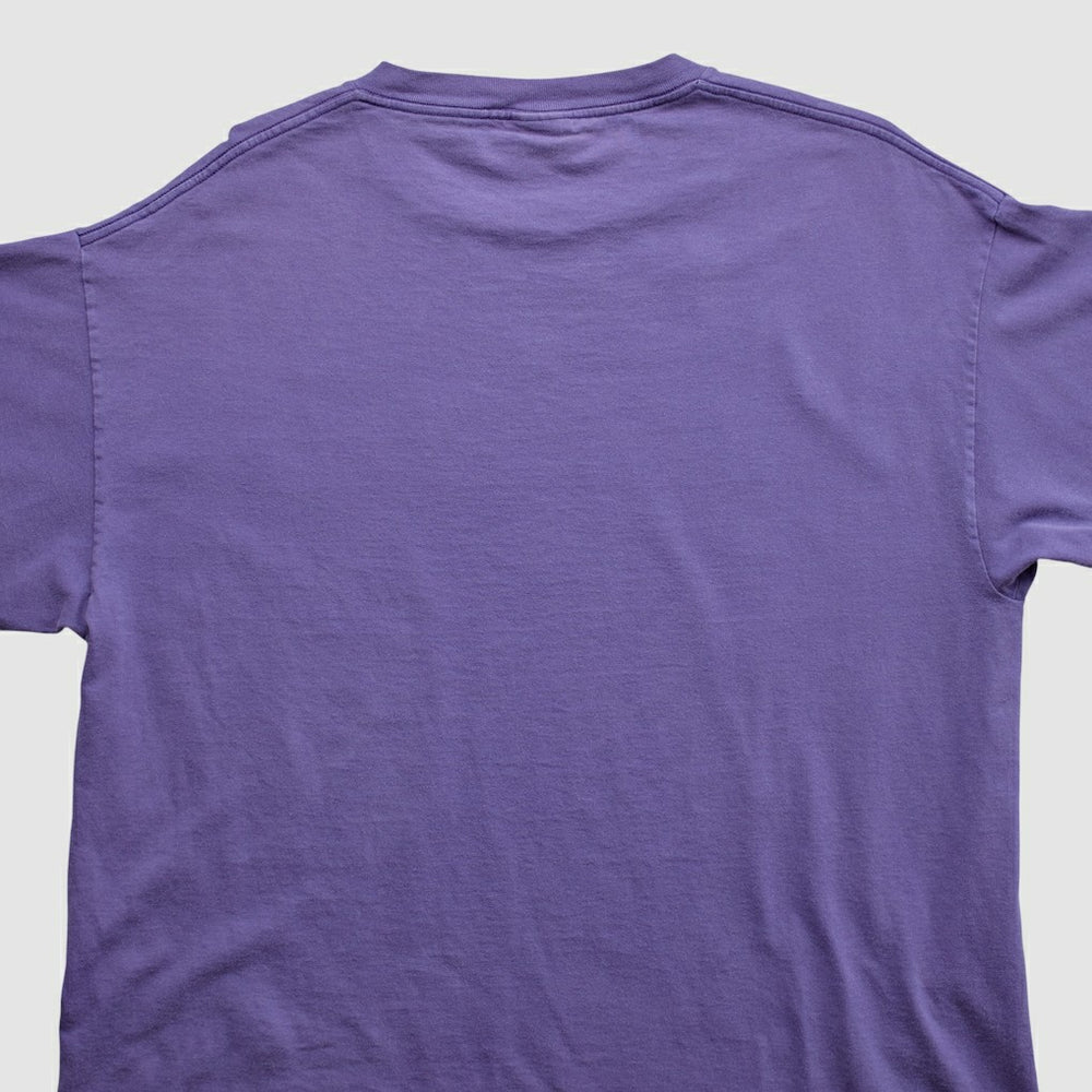 NFL Minnesota Vikings Lee Apparel 2000s T-shirt