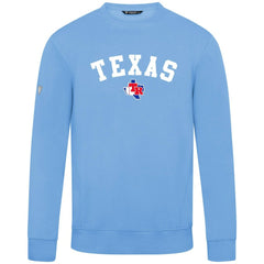 Texas Rangers Levelwear Zane Felt Arch Pullover Sweatshirt - Light Blue