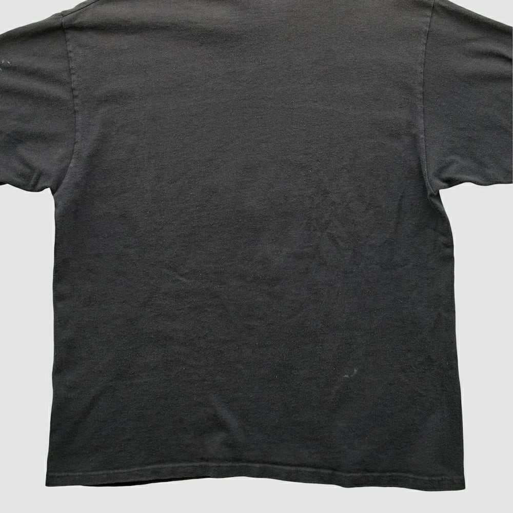 NFL Pittsburgh Steelers Champion 1994 T-shirt