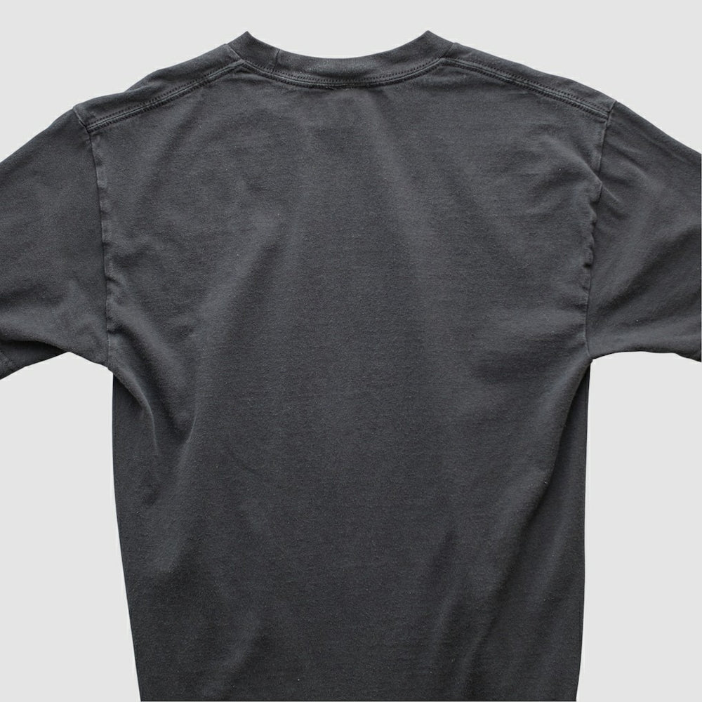 NFL Pittsburgh Steelers NFL 2010s T-shirt