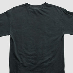 NFL Pittsburgh Steelers Alstyle 2006 Long Sleeve T-shirt