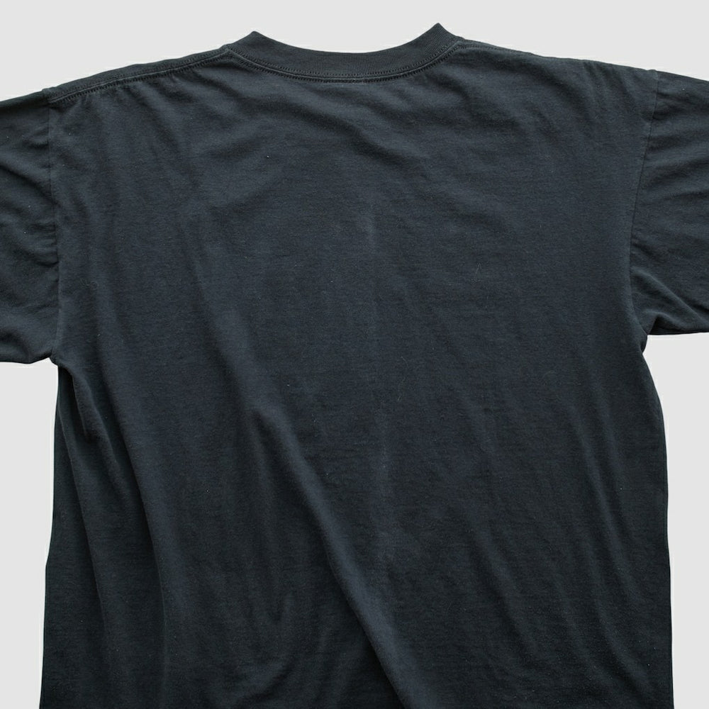 NFL Pittsburgh Steelers NFL 2010s T-shirt