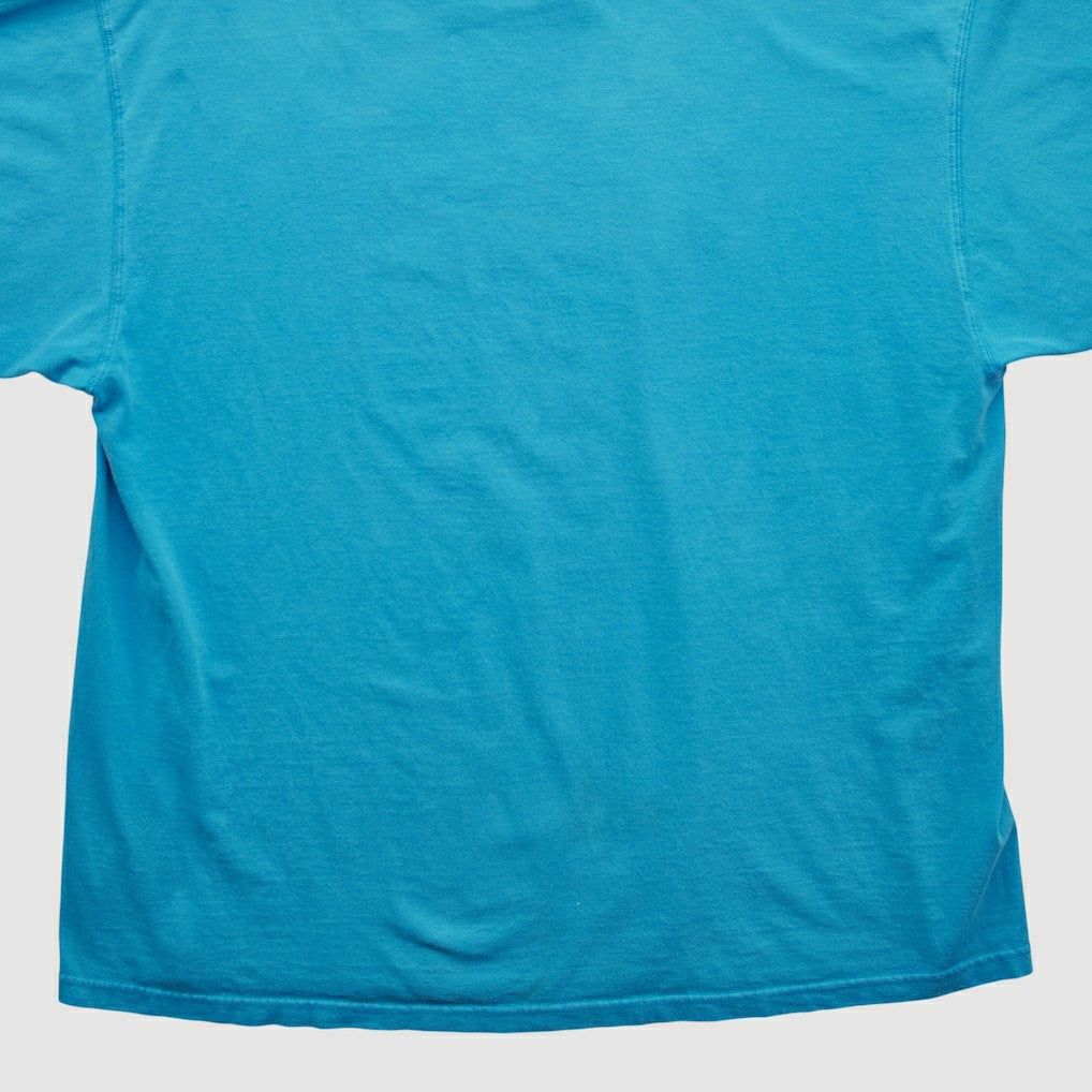 NFL Carolina Panthers NFL 2000s T-shirt