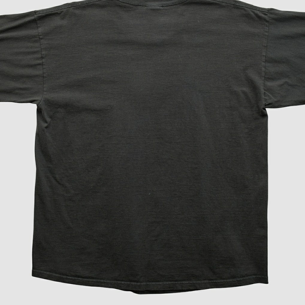 NFL Pittsburgh Steelers NFL 2000s Long Sleeve T-shirt