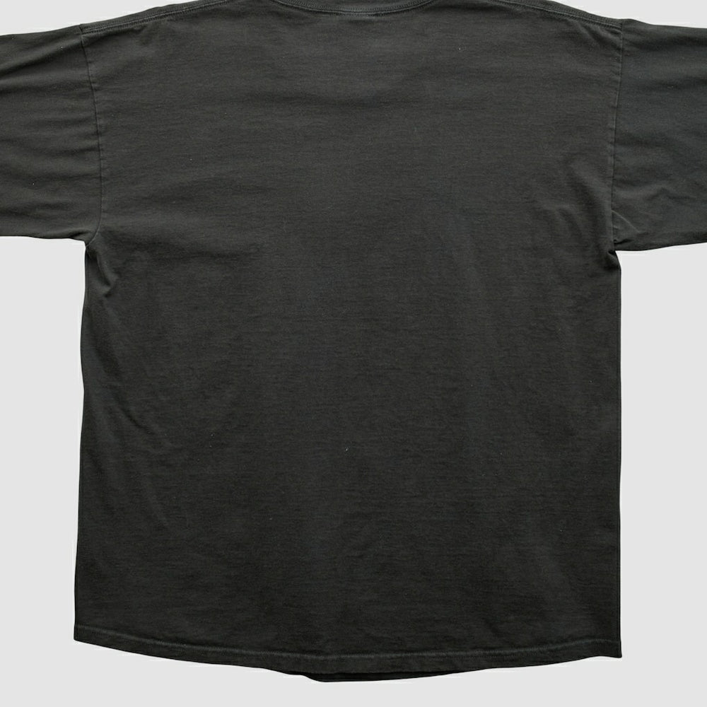 NFL Pittsburgh Steelers NFL 2000s Long Sleeve T-shirt