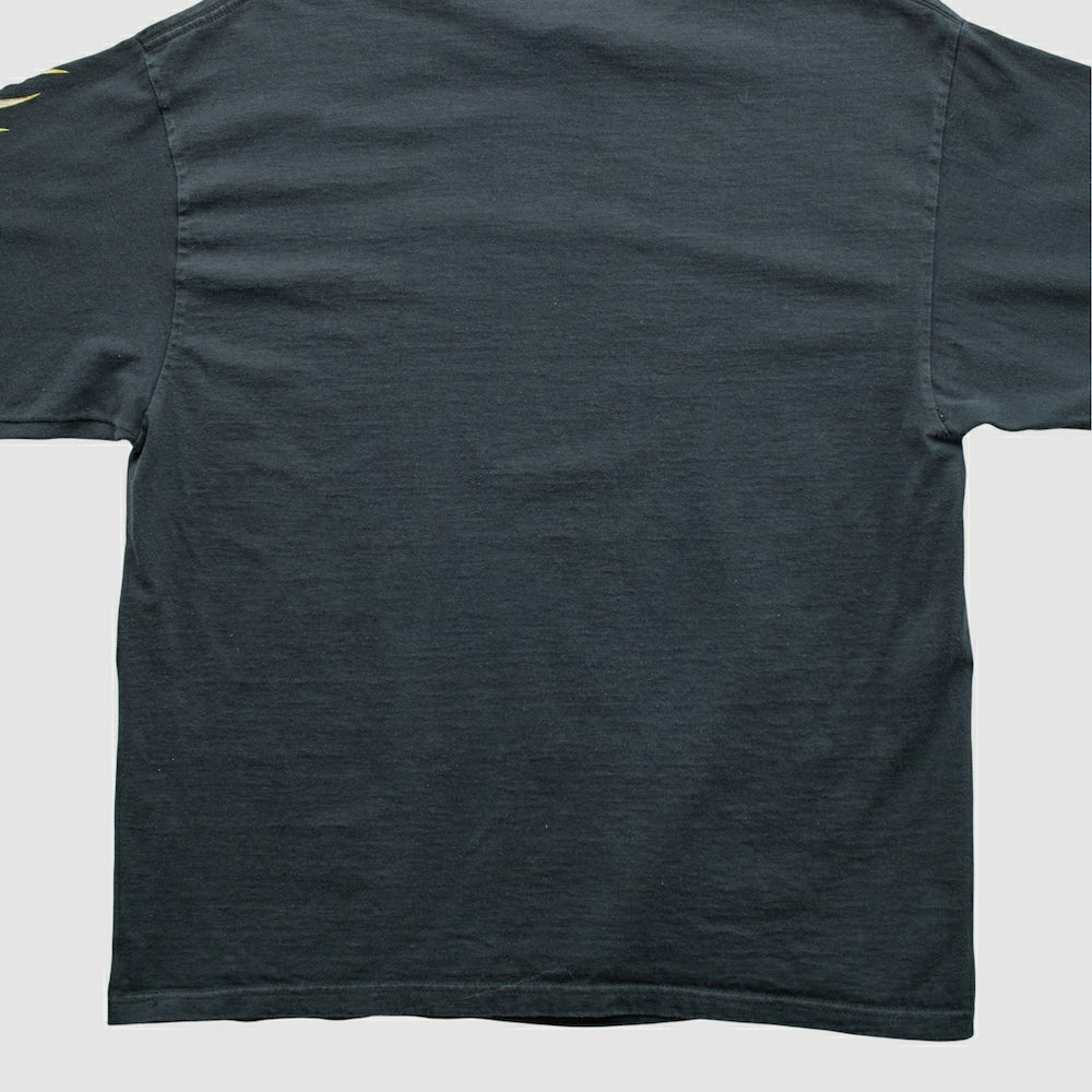 NFL Pittsburgh Steelers NFL 2000s Long Sleeve T-shirt