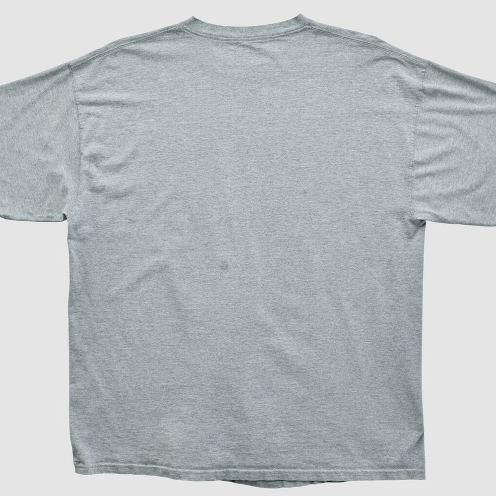 NFL Miami Dolphins NFL 2000s T-shirt