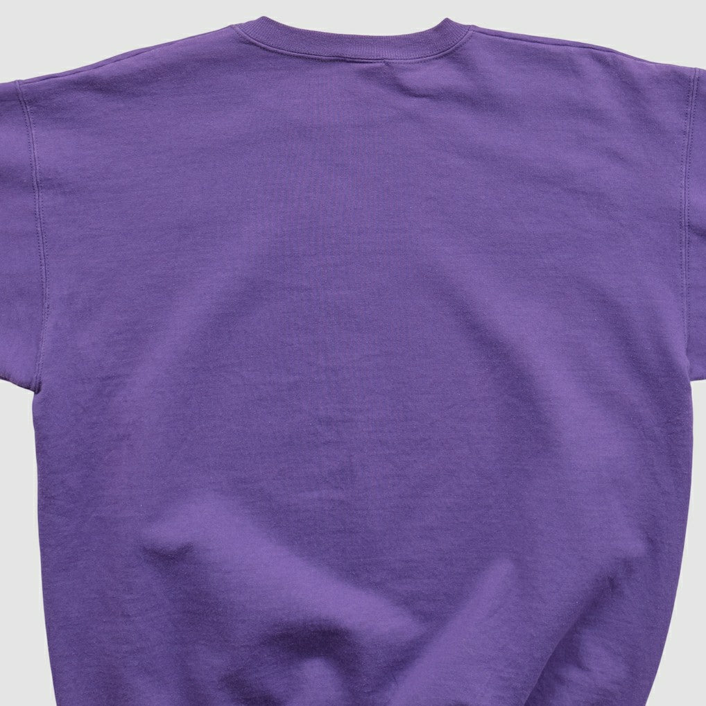 NFL Minnesota Vikings Champion 90s Pullover Sweatshirt
