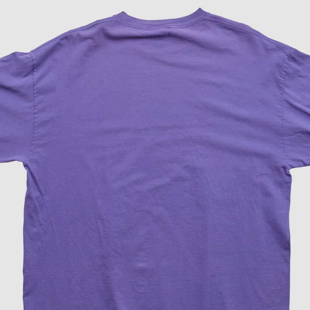 NFL Minnesota Vikings NFL 2010s Long Sleeve T-shirt