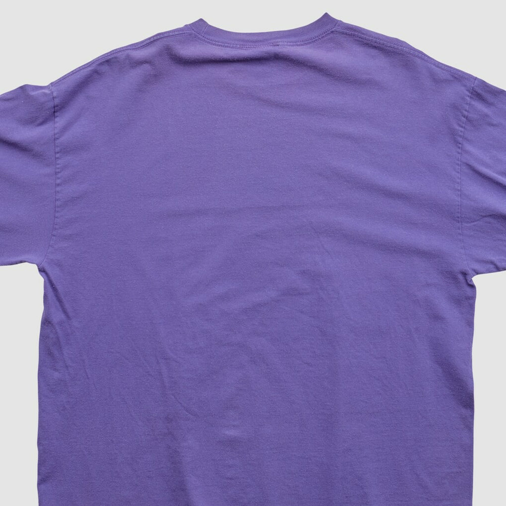 NFL Minnesota Vikings NFL 2010s Long Sleeve T-shirt
