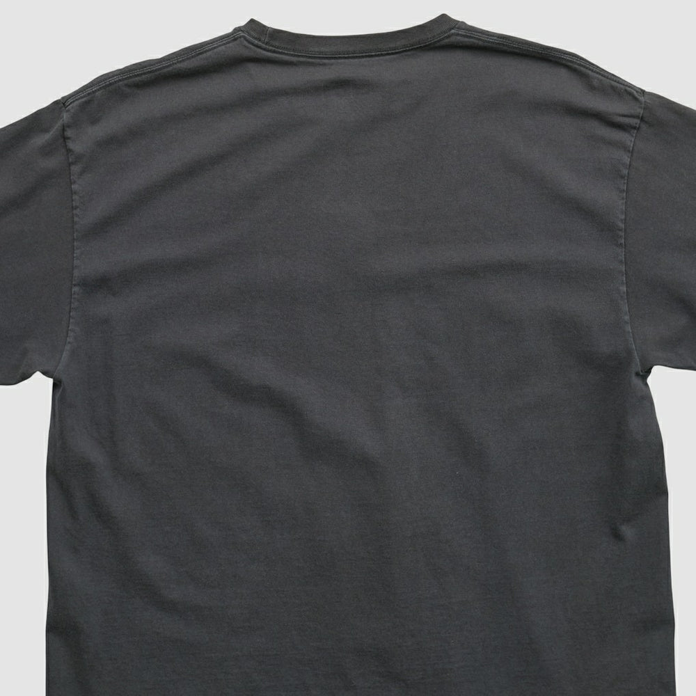 NFL Pittsburgh Steelers NFL 2010s T-shirt