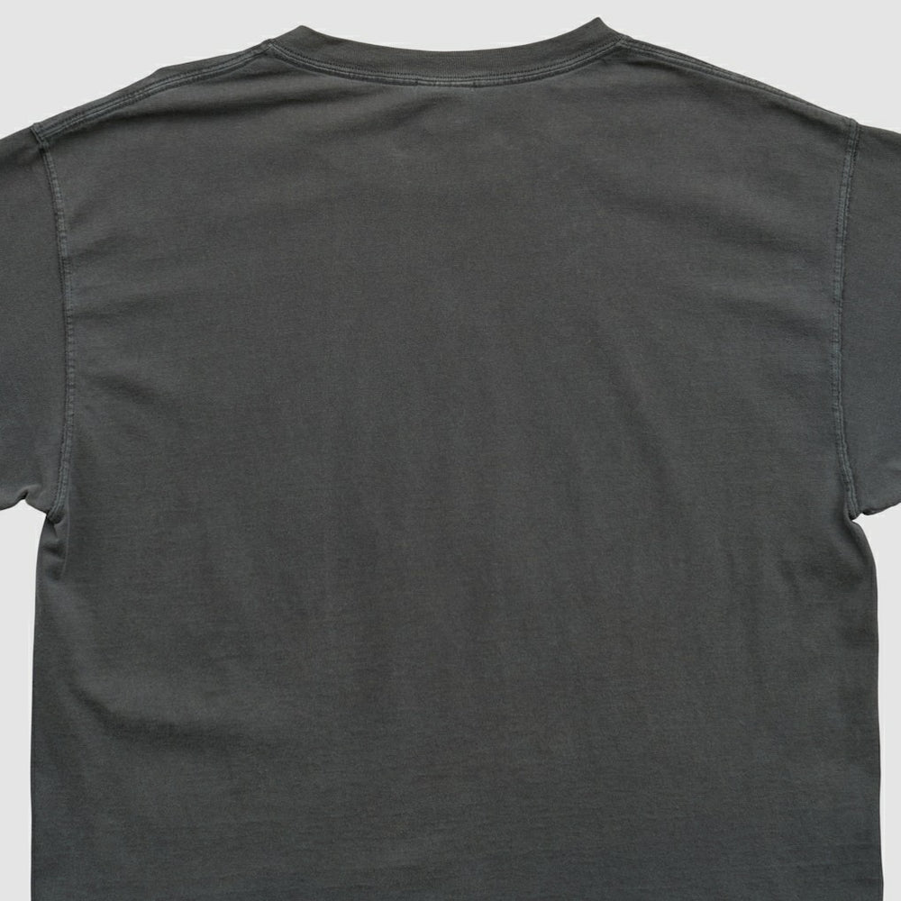 NFL Pittsburgh Steelers NFL 2000s T-shirt
